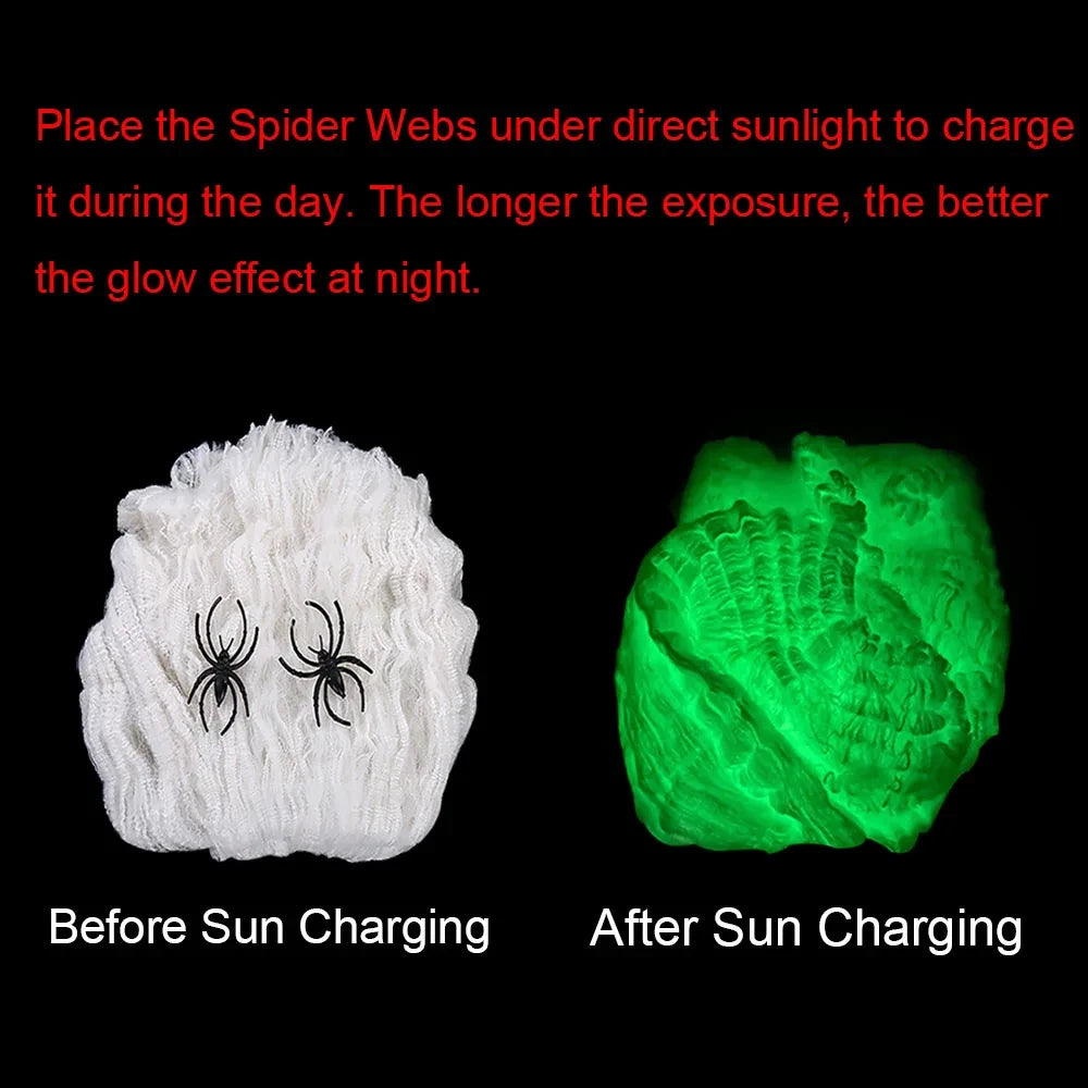 Glow In The Dark Halloween Spider Web