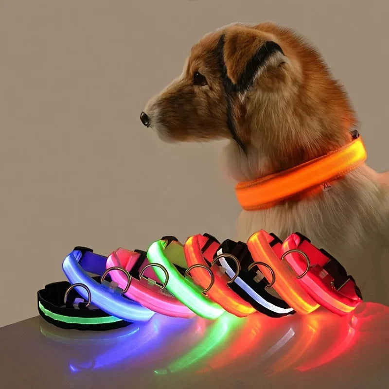 Glow-in-the-Dark Safety Dog Leash