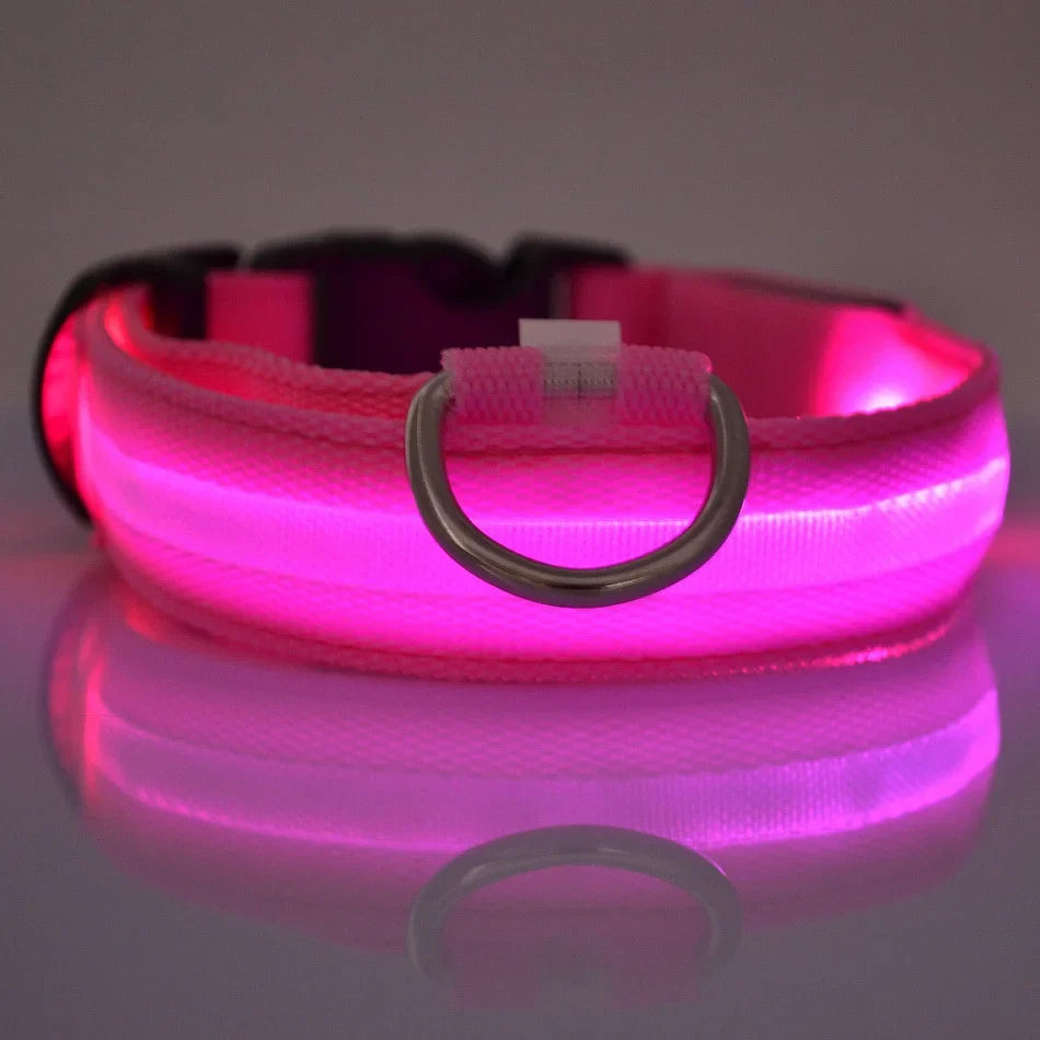 Glow-in-the-Dark Safety Dog Leash