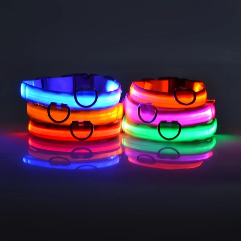 Glow-in-the-Dark Safety Dog Leash